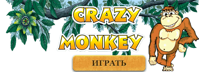 crazy monkey обезьянки лого